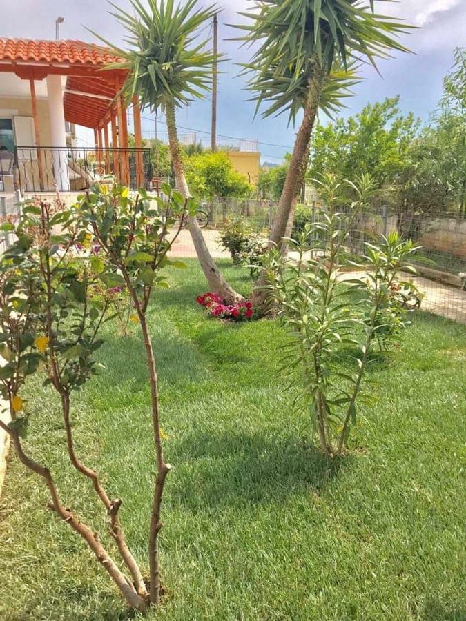 Sea View Countryside Home Near أثينا المظهر الخارجي الصورة